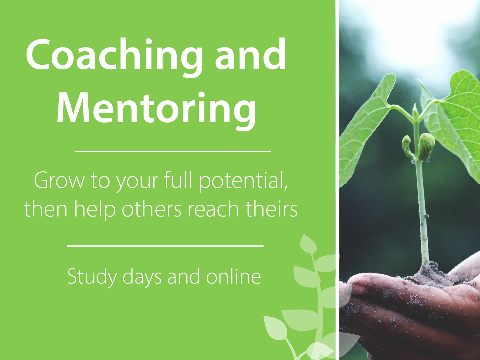 Gain practical skills to help coach and mentor others