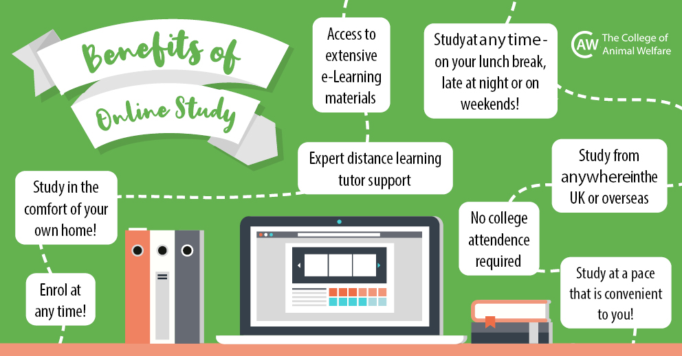 Find Out What Online Learning Can Do for You