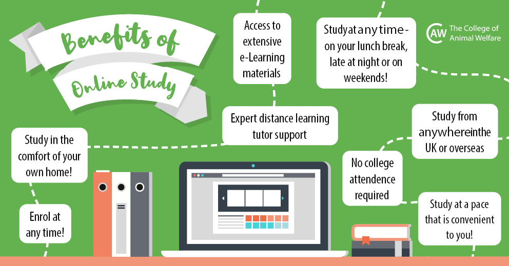 online study presentation