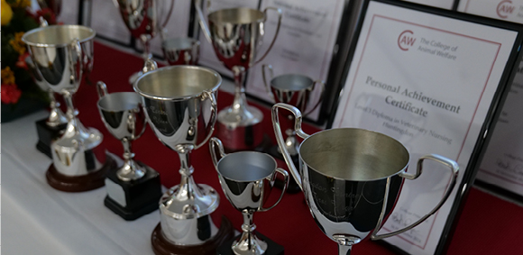 Celebrating Success at our Annual Student Awards Ceremony